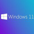 Cách cài Windows 11 Home không cần tài khoản Microsoft và mạng internet